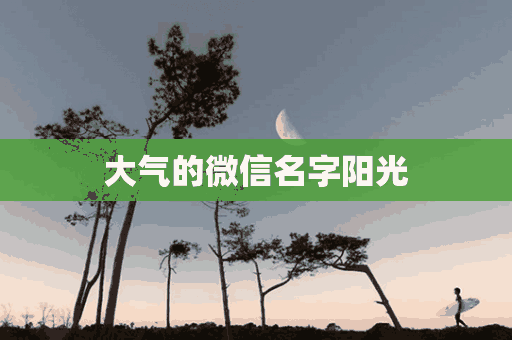 大气的微信名字阳光